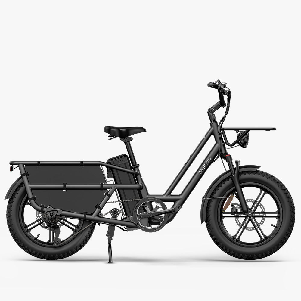 Fiido T2 Longtail Versatile Cargo Ebike