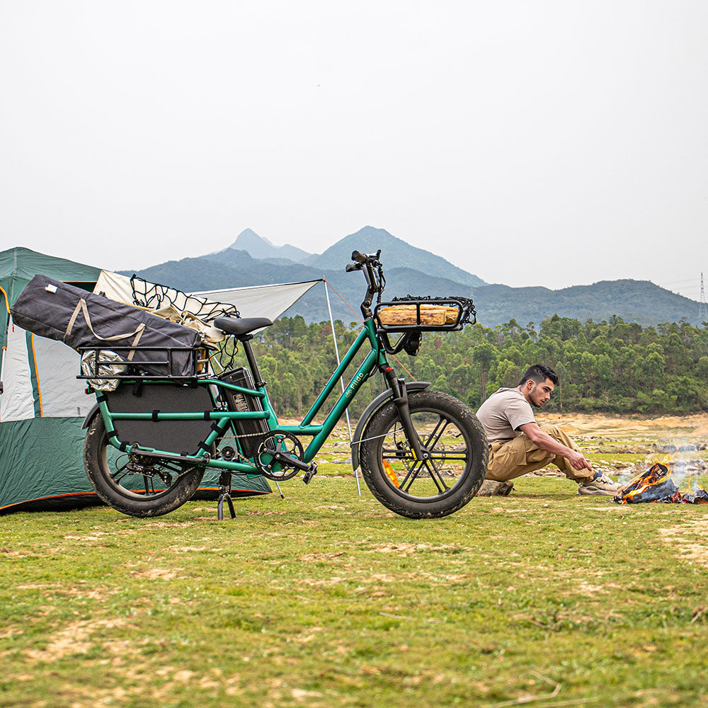 Fiido T2 Longtail Versatile Cargo Ebike