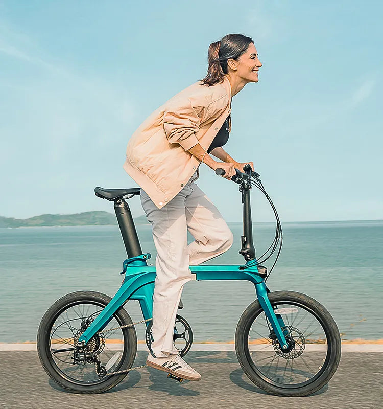 Fiido X Folding Electric Bike With Torque Sensor