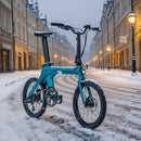 Fiido X Folding Electric Bike With Torque Sensor