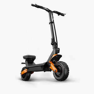 Fiido Beast Electric Scooter